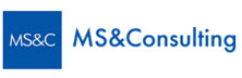 MS & Consulting
