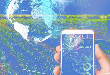 What is the Role of Process Improvement in Change Management? </br>