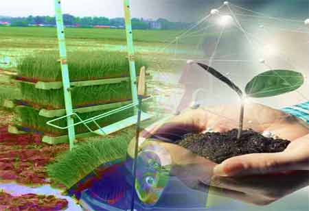 Finding the Right HRMS Solution in Europe